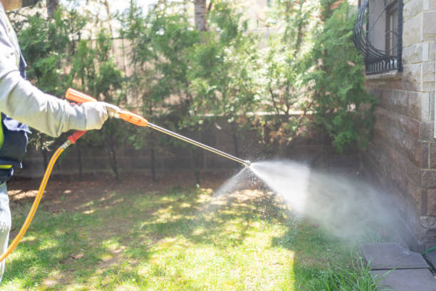Best Residential Pest Control  in Brownstown, IN