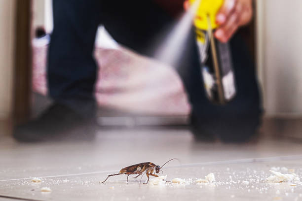 Best Wildlife Control Services  in Brownstown, IN