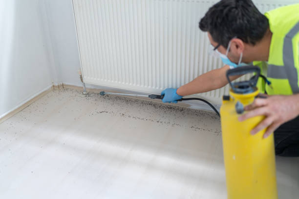 Best Local Pest Control Services  in Brownstown, IN